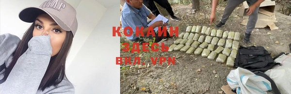 винт Белоозёрский